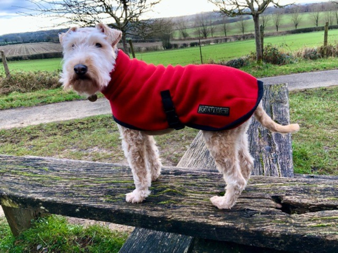 Polartec Fleece Polo Neck Dog Coat Rainproof, Breathable, Warm and