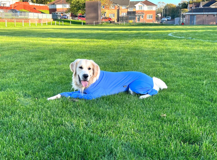 Dog Summer Suit Equafleece