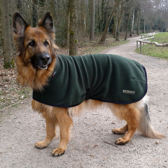 Polartec Fleece Polo Neck Dog Coat Rainproof, Breathable, Warm and
