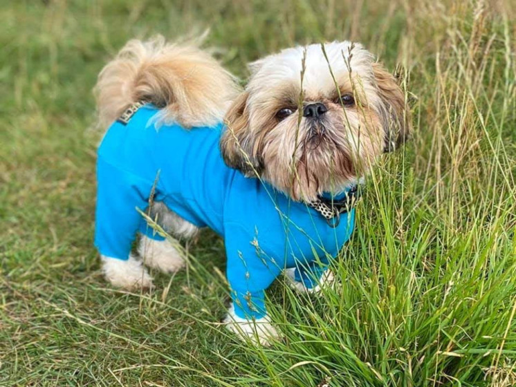 Dog Summer Suit Equafleece