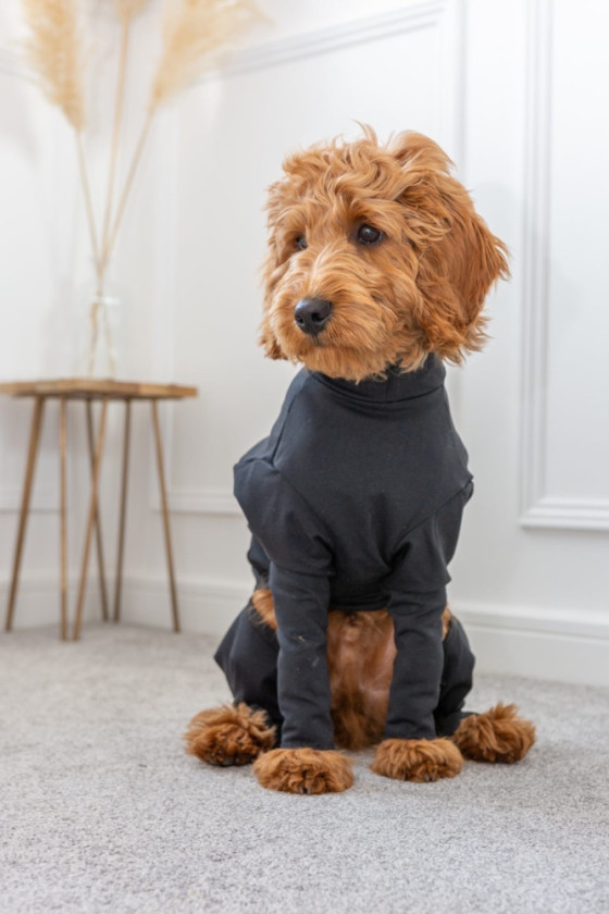 Dog Summer Suit Equafleece