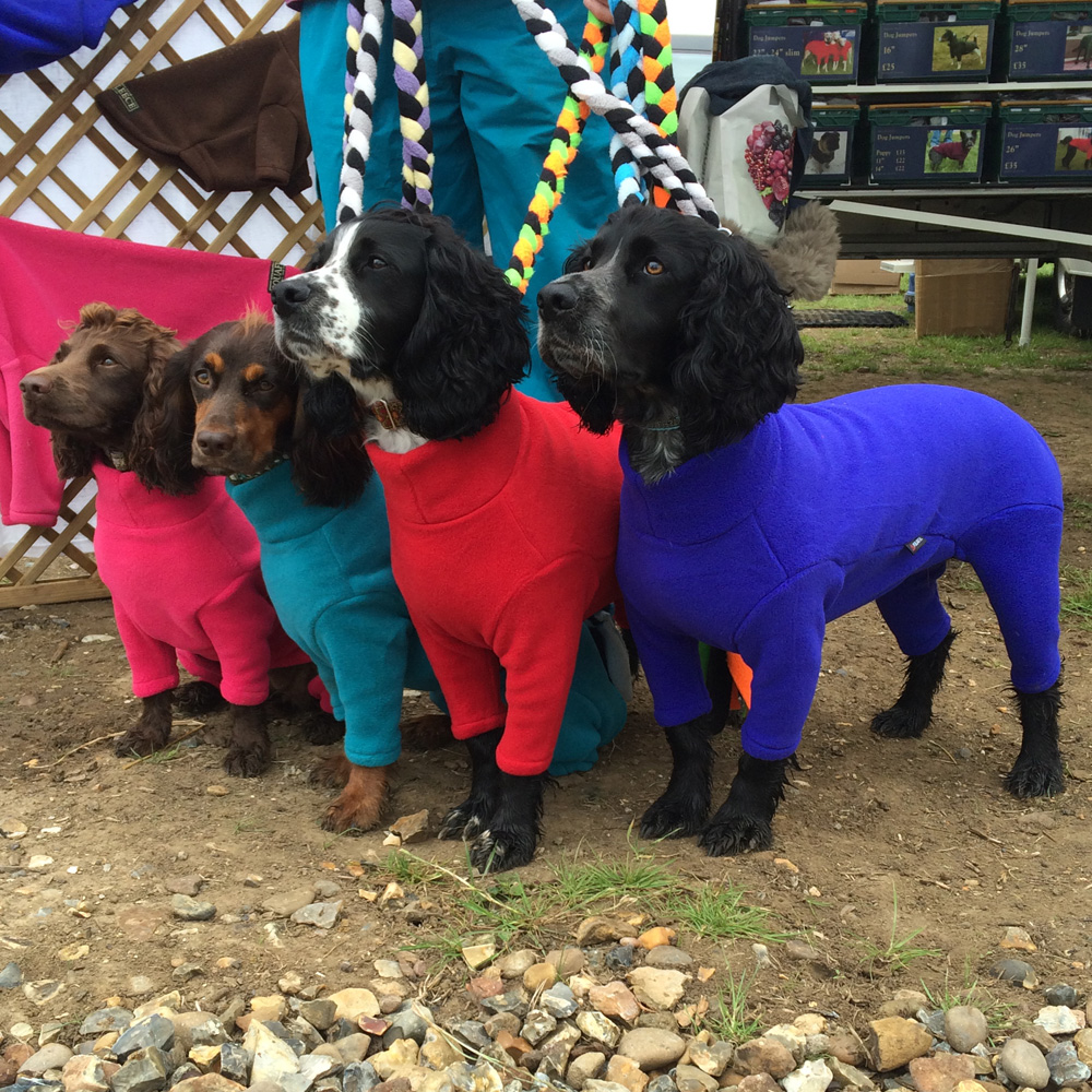 Photo Gallery, How Your Dog Could Look Equafleece