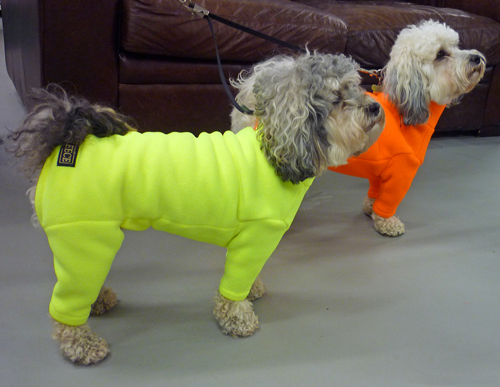 Photo Gallery, How Your Dog Could Look Equafleece