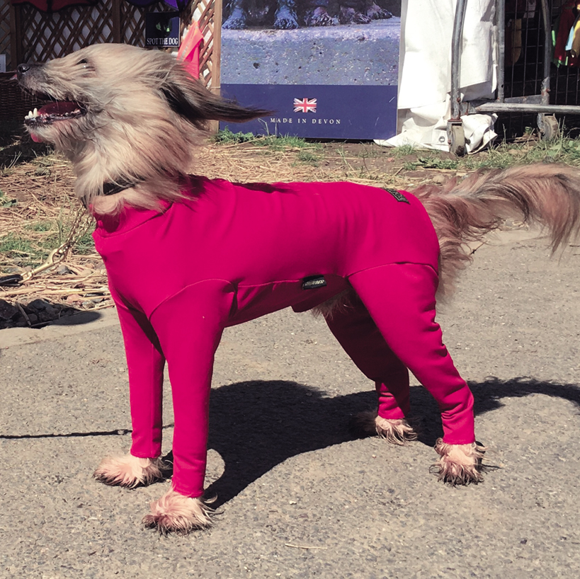 Dog Summer Suit Equafleece