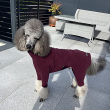 Dog Suit, Mulberry