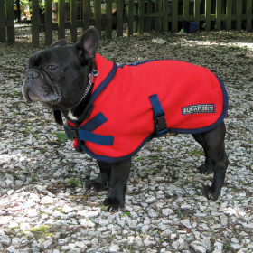 Red Pug Dog Coat