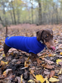 Dachsie Jumper, Cobalt Blue