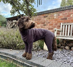 Dog Suit, Espresso