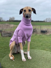 Dog Jumper, Pale Heather