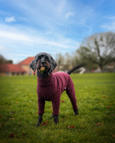 Dog Suit, Mulberry