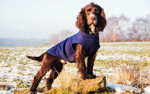 Fleece Dog Jacket 