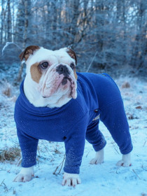 Dog Suit, Denim Blue