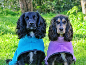 Polo Neck Coat, Teal, Pale Heather