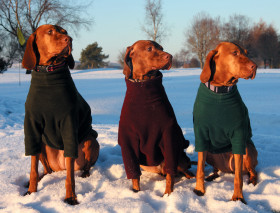 Equafleece Dog Jumpers