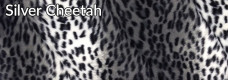 Silver Cheetah