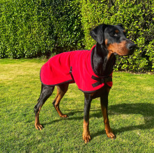 Dog Coat, Red