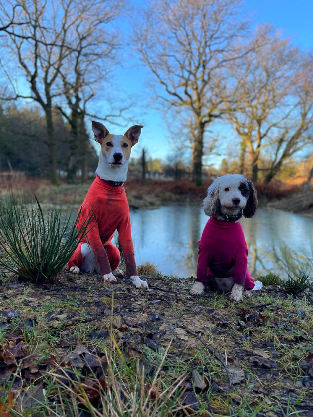 Dog Summer Suit Equafleece