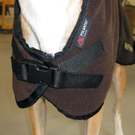 Velcro closure and cross straps with parachute clip