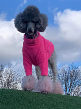 Dog Jumper, Soft Fuchsia