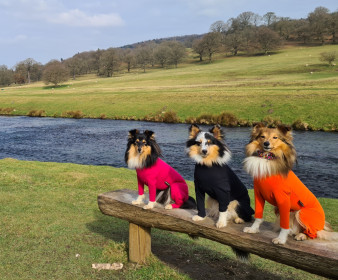 Summer Suit, Blaze Orange, Black, Raspberry