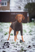 Dog Jumper, Dark Brown