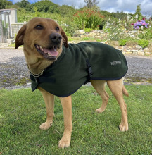 Dog Coat, Loden Green
