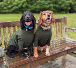 Dog Jumper, Loden Green