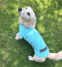 T-Shirt Body, Mint Green