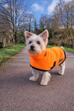 Polo Neck Coat, Blaze Orange