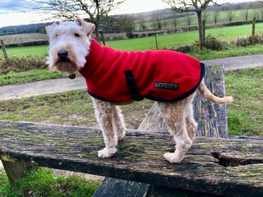 Polo Neck Coat, Red