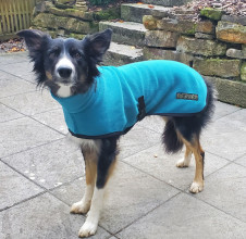 Polo Neck Coat, Teal