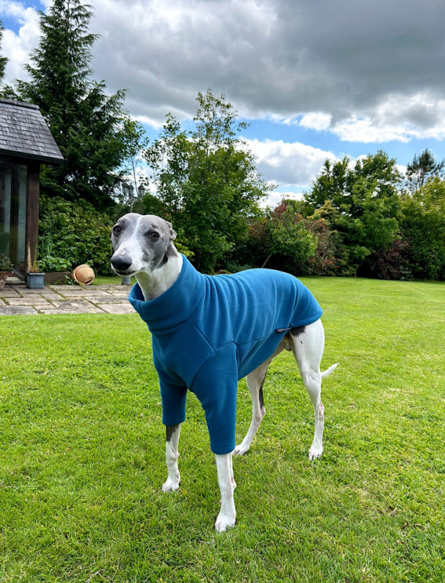 Polartec Fleece Dog Jumper Rainproof, Breathable, Warm and Washable