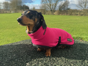 Polo Neck Coat, Soft Fuchsia