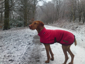 Polo Neck Coat, Red