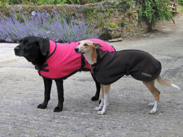 Soft Fuschia Labrador Dog Coat and Brown Whippet Dog Coat
