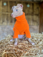 Dog Jumper, Blaze Orange