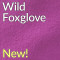 Wild Foxglove