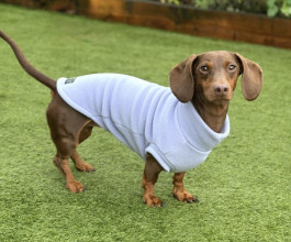 Dachsie Jumper, Lavender