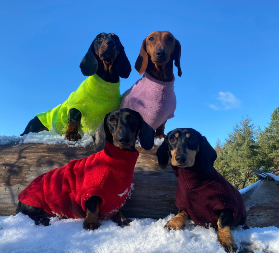 Polartec Fleece Dachshund Jumper Rainproof, Breathable, Warm and