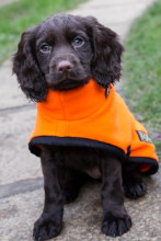 Polo Neck Coat, Blaze Orange