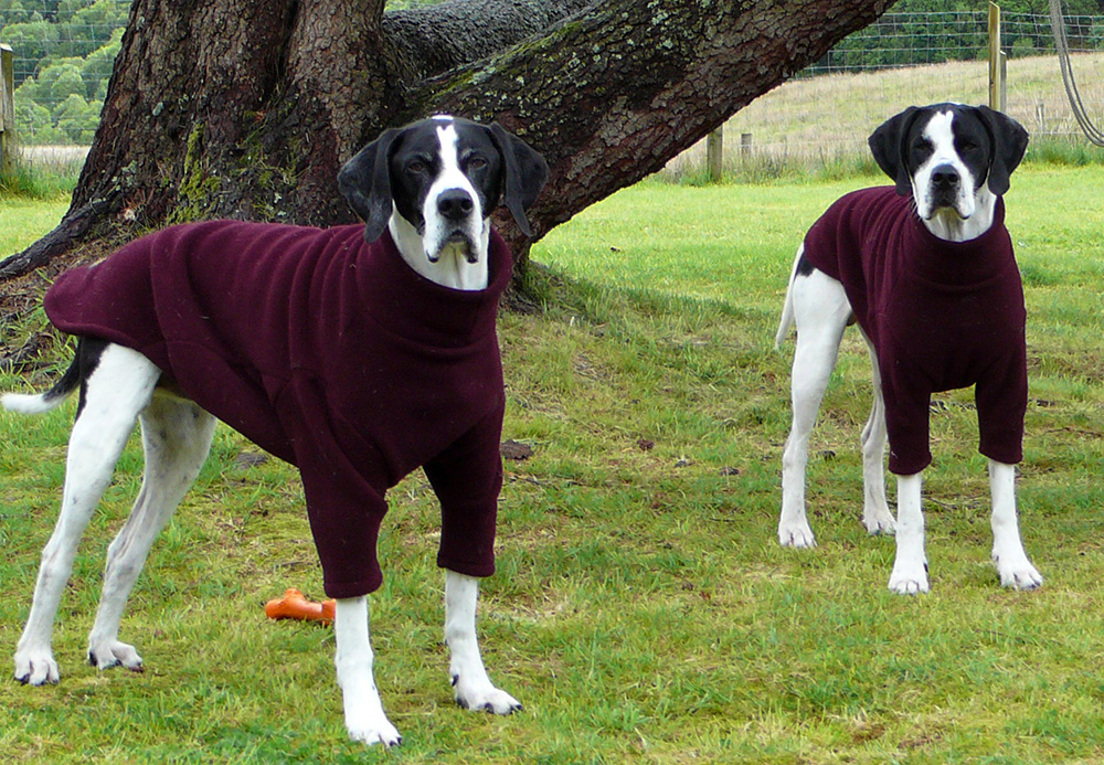Photo Gallery, How Your Dog Could Look Equafleece