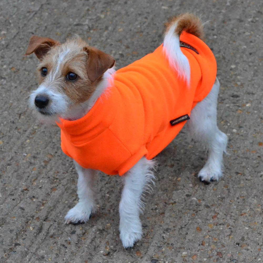 Photo Gallery, How Your Dog Could Look Equafleece