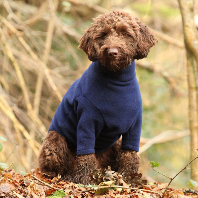 Photo Gallery How Your Dog Could Look Equafleece