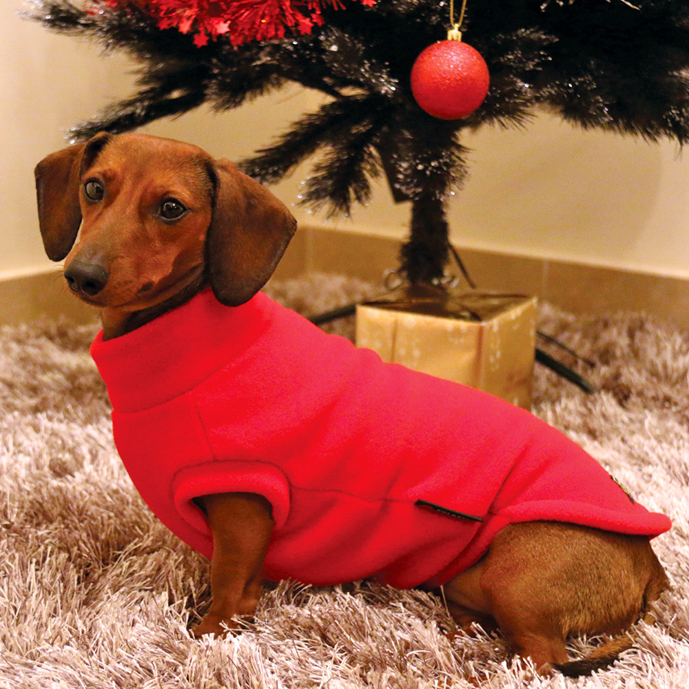 dachshund fleece sweater