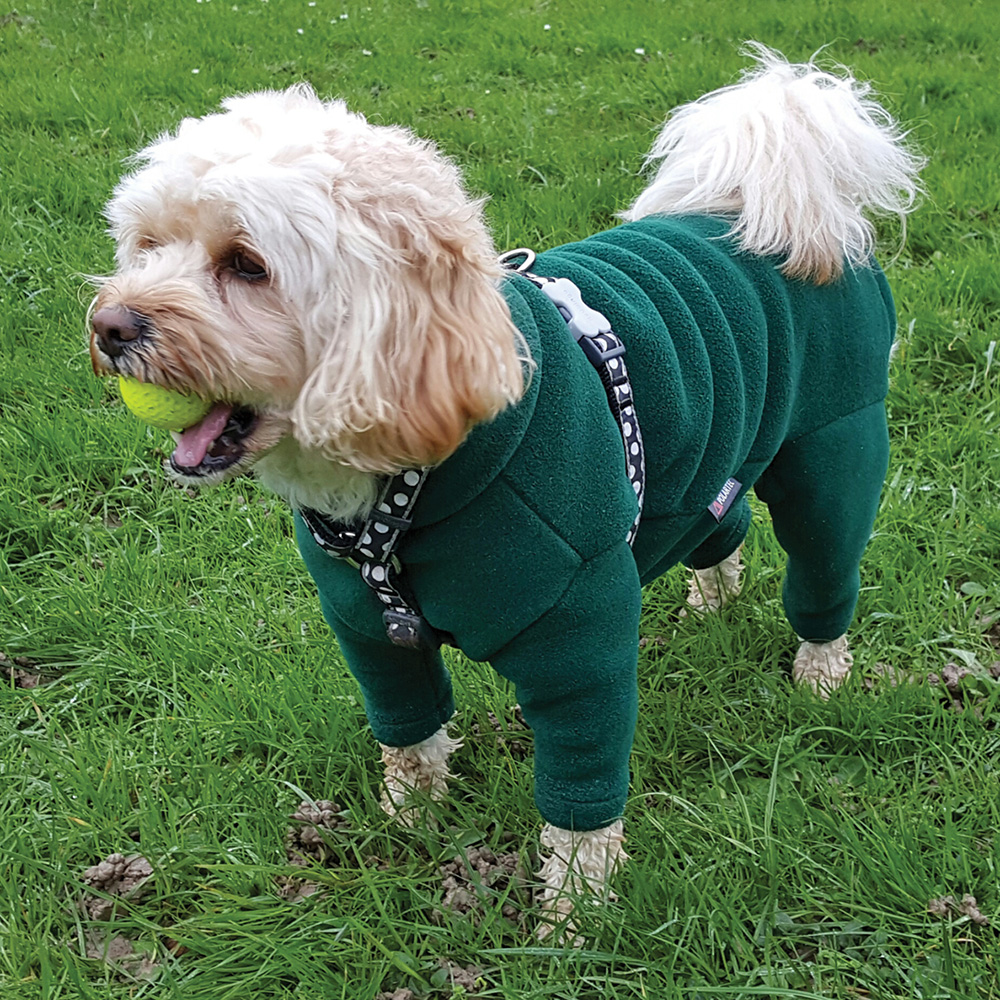 Polartec fleece dog suit rainproof breathable warm and washable