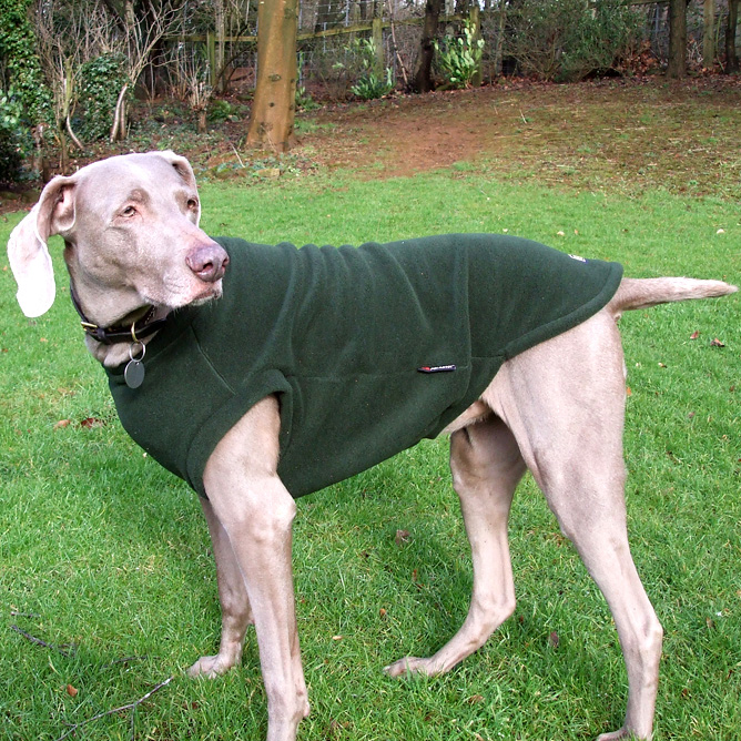 equafleece dog tankie